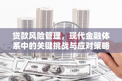 南山贷款风险管理，现代金融体系中的关键挑战与应对策略