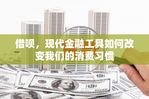 南山借呗，现代金融工具如何改变我们的消费习惯