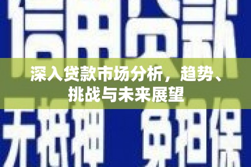 南山深入贷款市场分析，趋势、挑战与未来展望