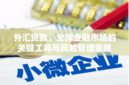 南山外汇贷款，全球金融市场的关键工具与风险管理策略