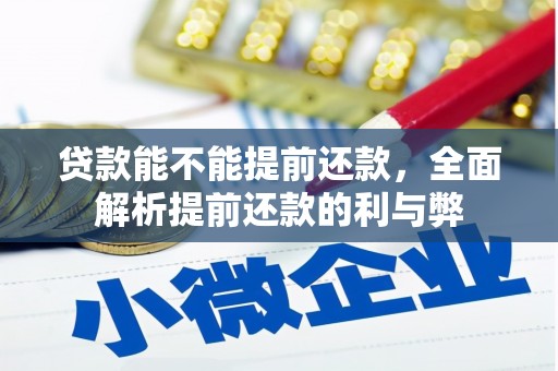 南山贷款能不能提前还款，全面解析提前还款的利与弊