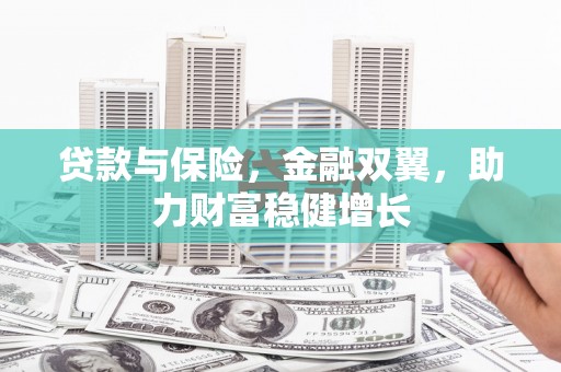 南山贷款与保险，金融双翼，助力财富稳健增长