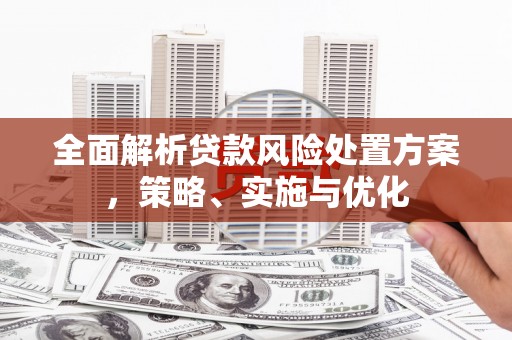 南山全面解析贷款风险处置方案，策略、实施与优化