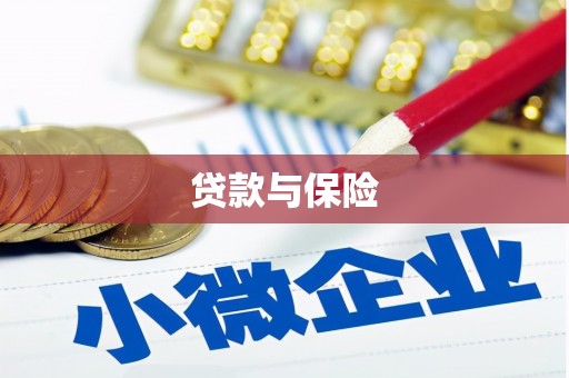 南山贷款与保险