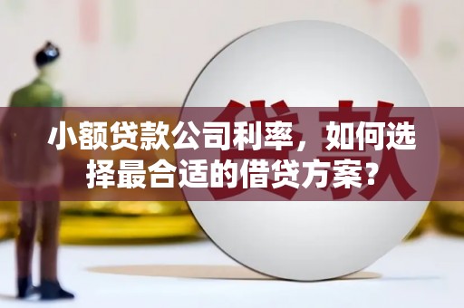 南山小额贷款公司利率，如何选择最合适的借贷方案？