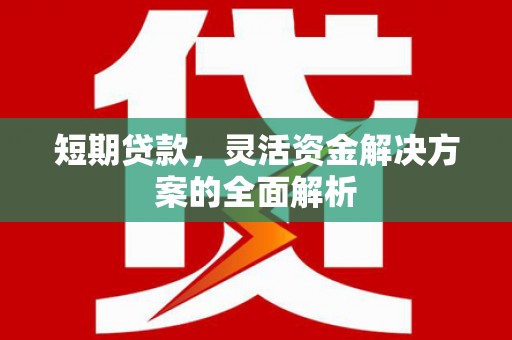 南山短期贷款，灵活资金解决方案的全面解析