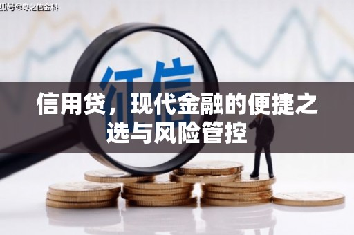 南山信用贷，现代金融的便捷之选与风险管控