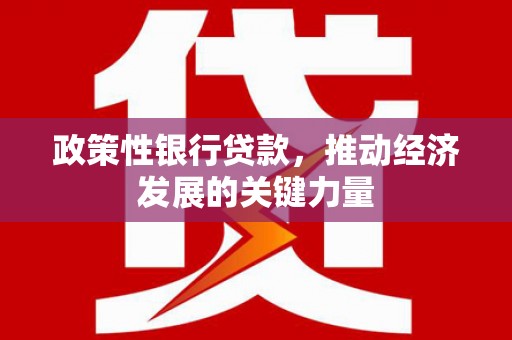 南山政策性银行贷款，推动经济发展的关键力量