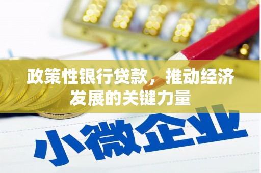 南山政策性银行贷款，推动经济发展的关键力量