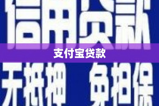南山支付宝贷款