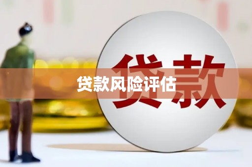 南山贷款风险评估
