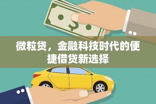 南山微粒贷，金融科技时代的便捷借贷新选择