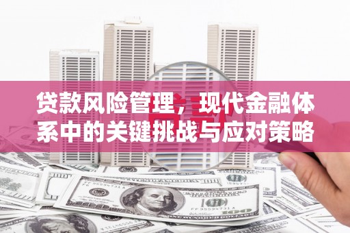 南山贷款风险管理，现代金融体系中的关键挑战与应对策略
