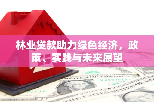 南山林业贷款助力绿色经济，政策、实践与未来展望