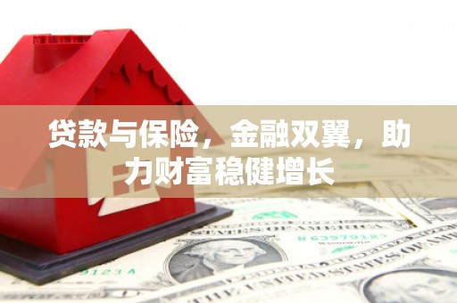 南山贷款与保险，金融双翼，助力财富稳健增长