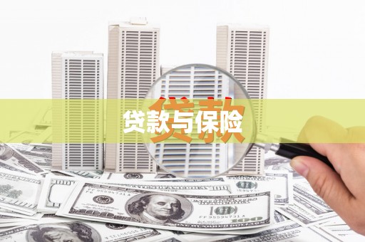 南山贷款与保险