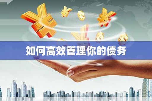 南山如何高效管理你的债务