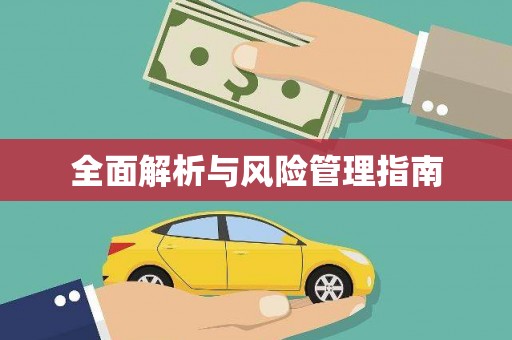南山全面解析与风险管理指南