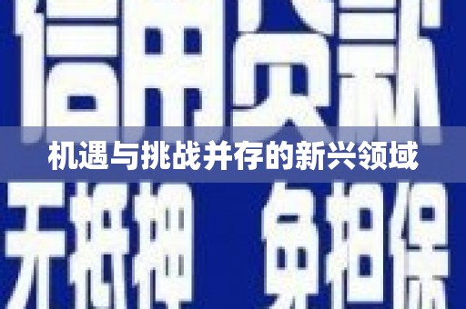 南山机遇与挑战并存的新兴领域
