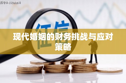南山现代婚姻的财务挑战与应对策略