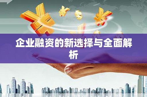 南山企业融资的新选择与全面解析
