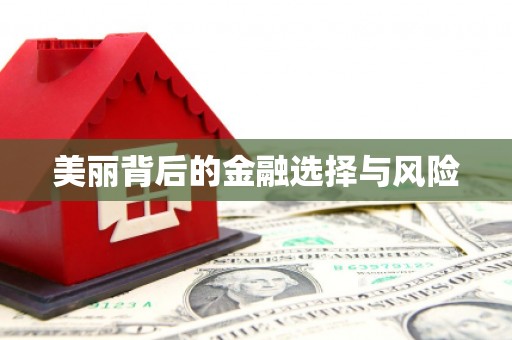 南山美丽背后的金融选择与风险