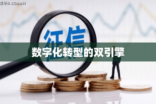 南山数字化转型的双引擎