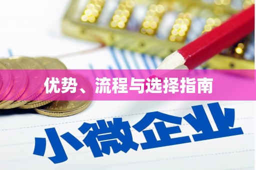 南山优势、流程与选择指南