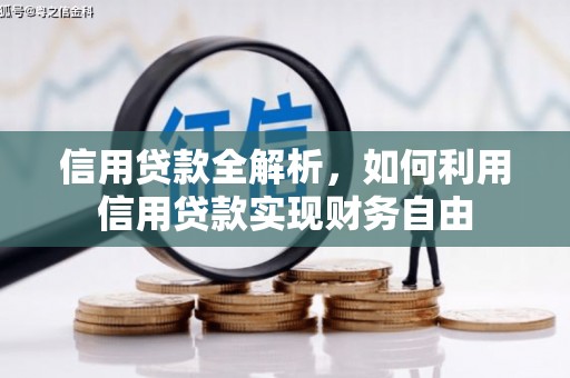 南山信用贷款全解析，如何利用信用贷款实现财务自由