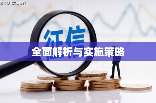 南山全面解析与实施策略