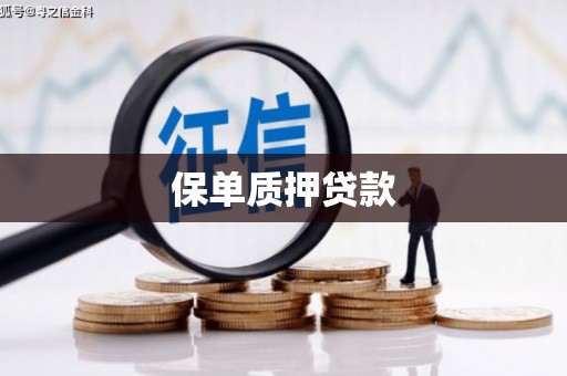 南山保单质押贷款