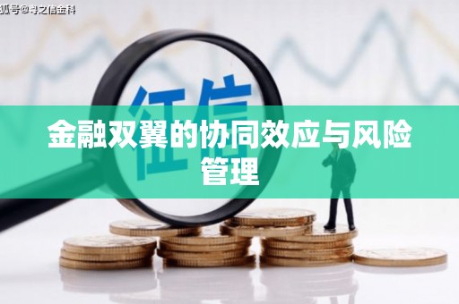 南山金融双翼的协同效应与风险管理