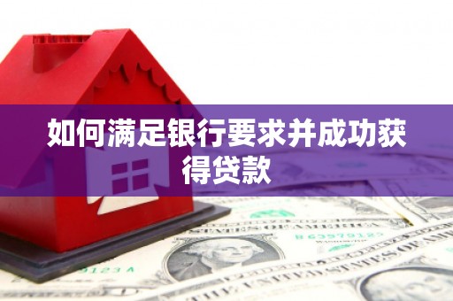 南山如何满足银行要求并成功获得贷款