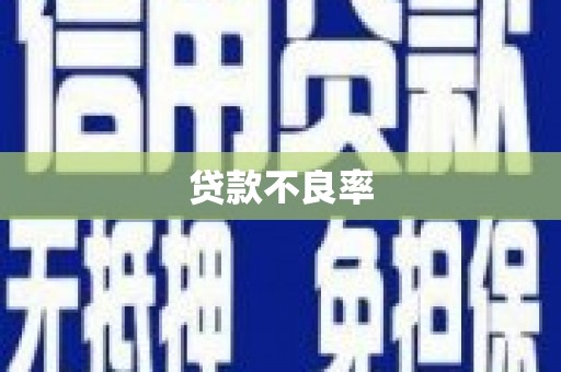 南山贷款不良率